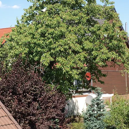 Koehler Apartment